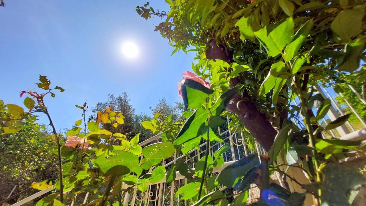 Holiday home Euryclea Perachori